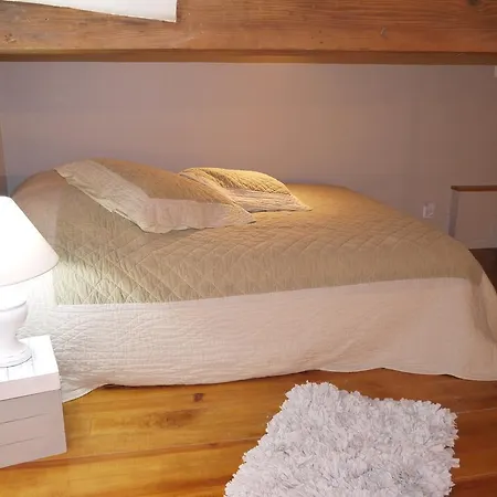 La Saint Jean Apartment Lyon